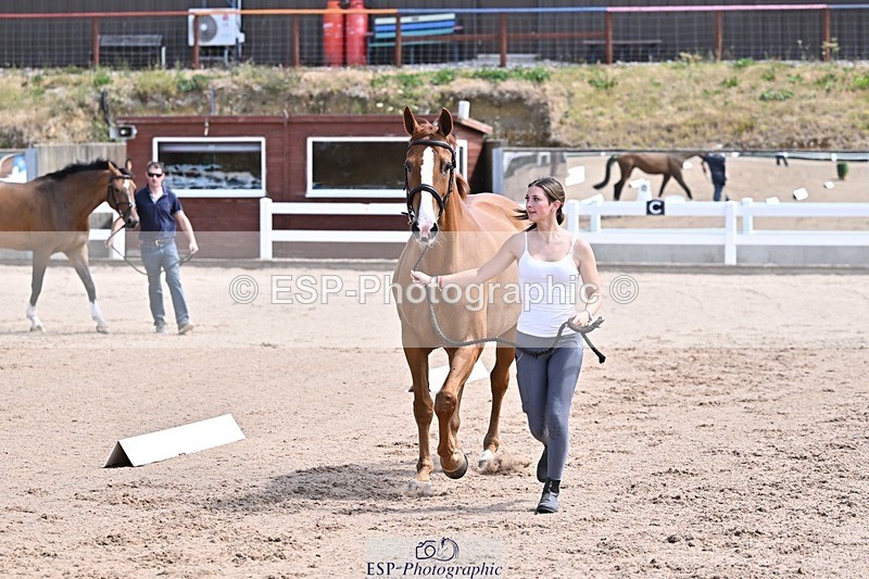 250716-124816-00173 - Trot Up 12.30 to 1.30