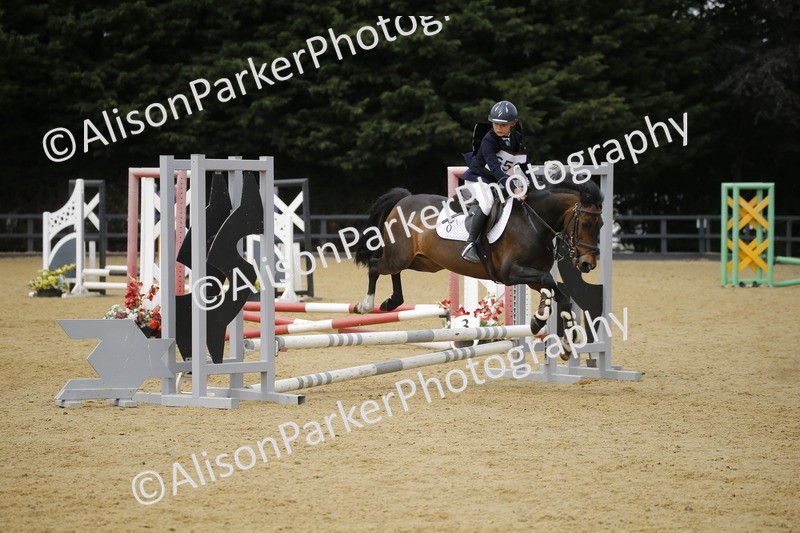 20250622-4733 - 50cm