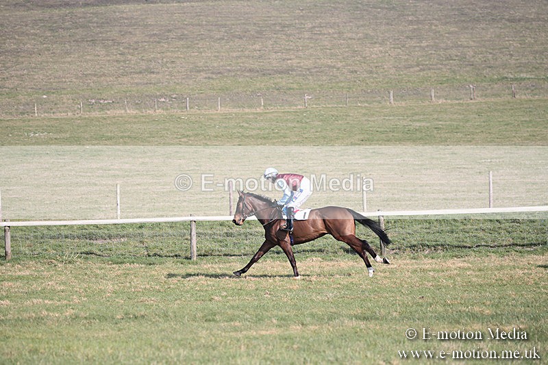 PtP 230219 187 - Vine & Craven Point-To-Point - Barbury 23/02/19