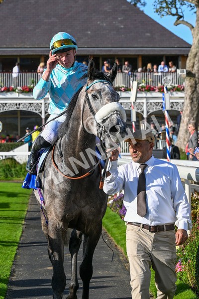 111025-Race 4-Binhareer-0498 - Race 4 Coral Sprint Trophy Handicap at York
