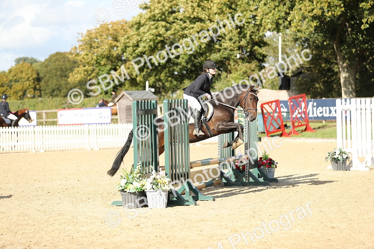 SBM_49601 - J22 - Junior Horse 65cm Championship