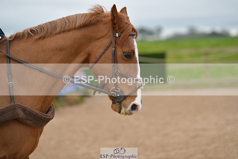 240203A-131233-00462 - 80cm