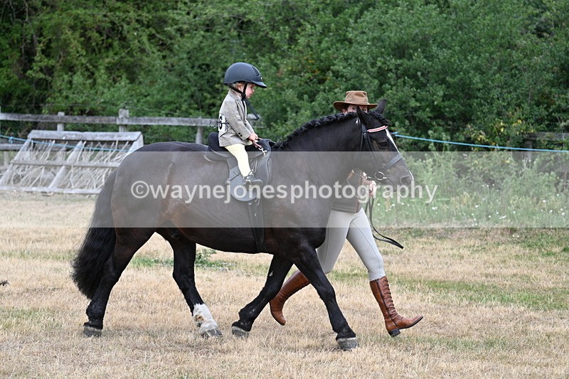 WJ7_9678 - Class 1 Lead Rein Pony
