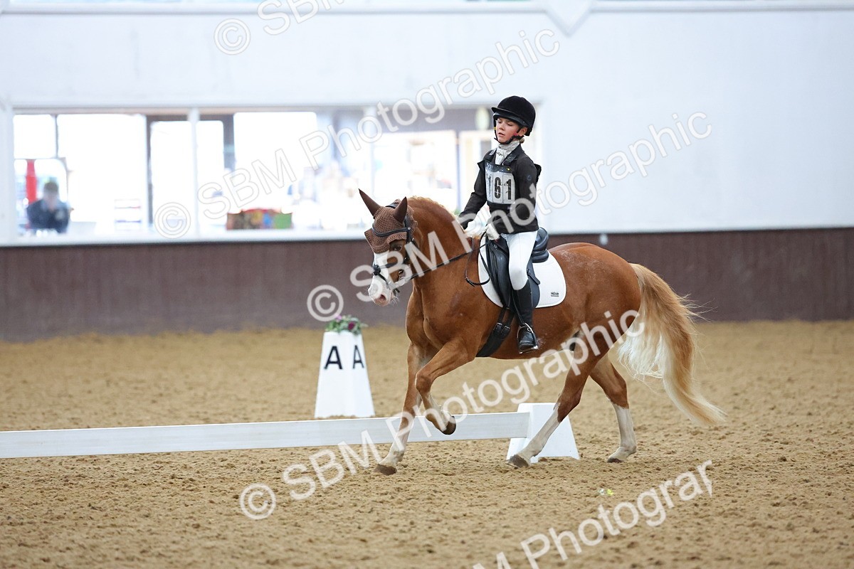 SBM_004202 - Intermediate