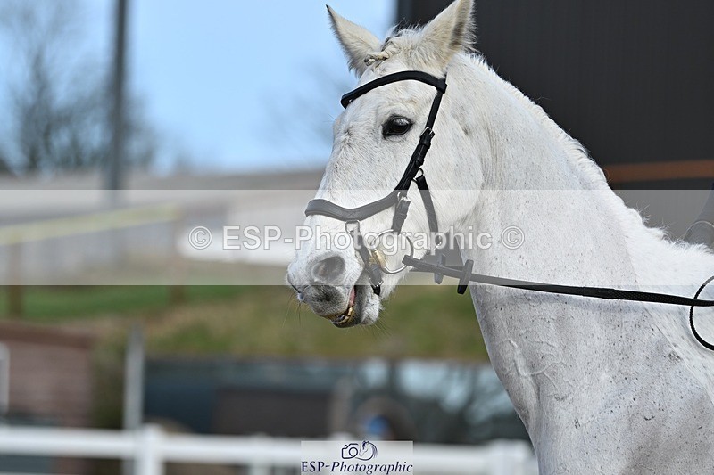 250125-123514-00469 - Dressage - CT Class 6 BE102