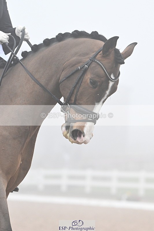 240217A-124708-02689 - 262-Amy.Hose-Enrique