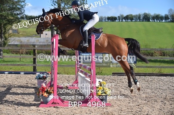 BPP_4968 - CLASS 13  Senior Discovery/ 1m Open