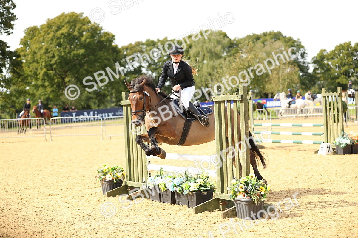 SBM_66204 - J17 - Junior Pony 80cm Championship