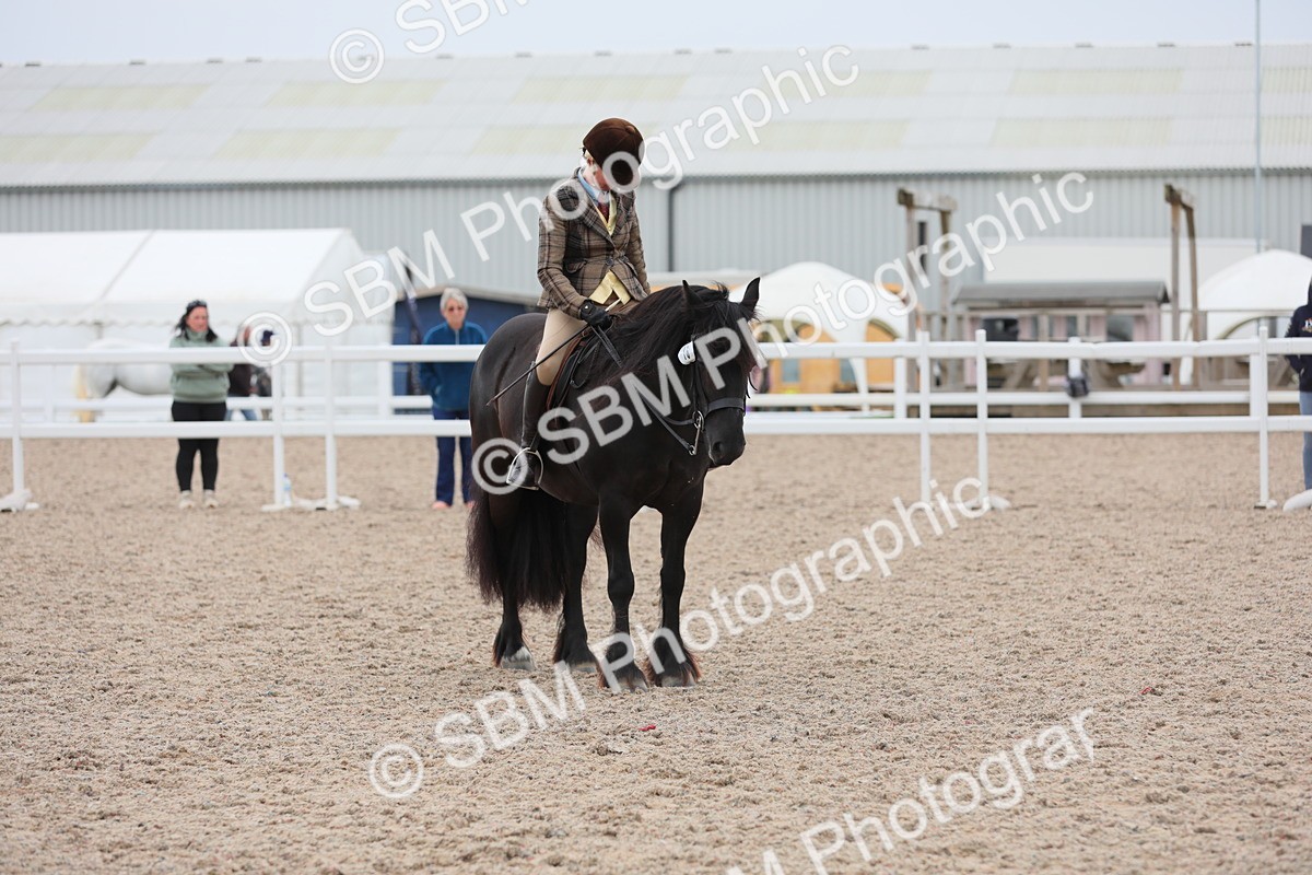 SBM_18088 - Class 316 Best Pony/Rider Combination