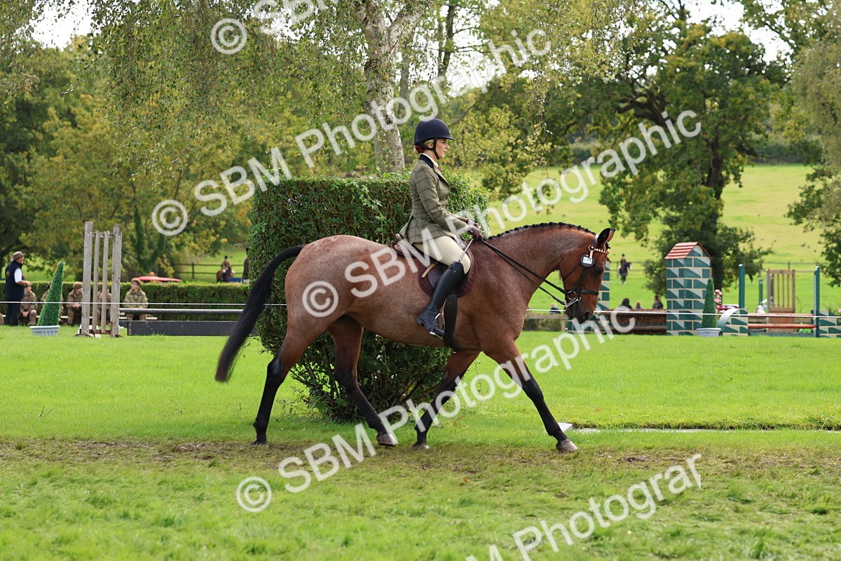 SBM_45177 - S27 - Young Veteran Ridden