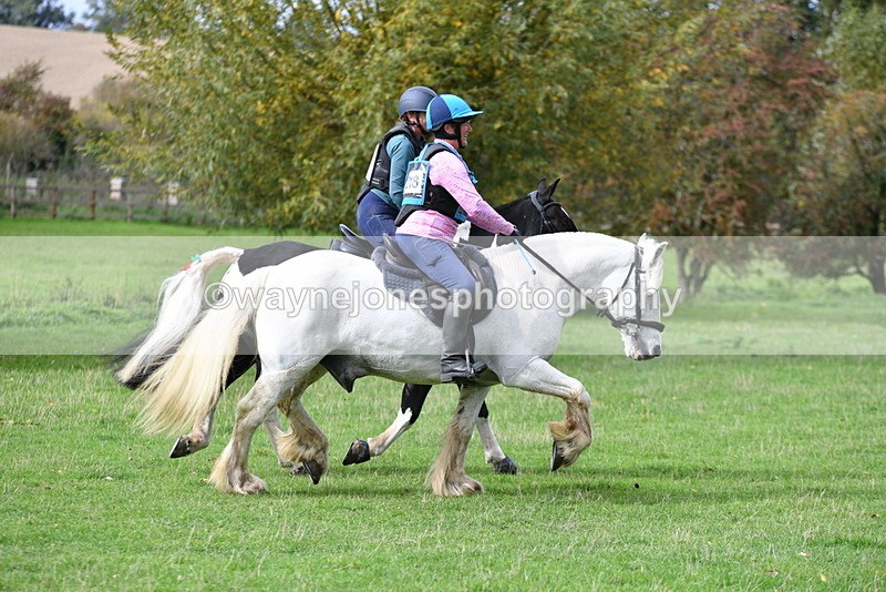 WJ5_0004 - Time 13:25 to 13:58