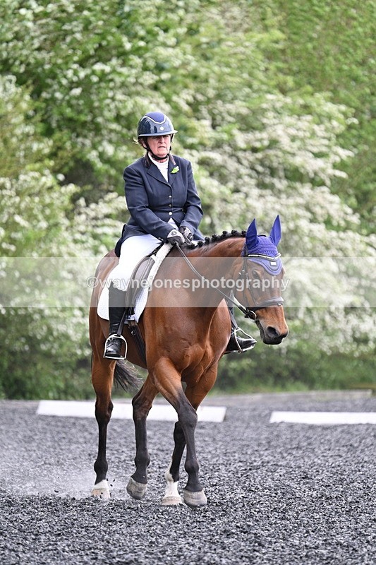 WJ7_1264 - Time 14:16 to 14:55