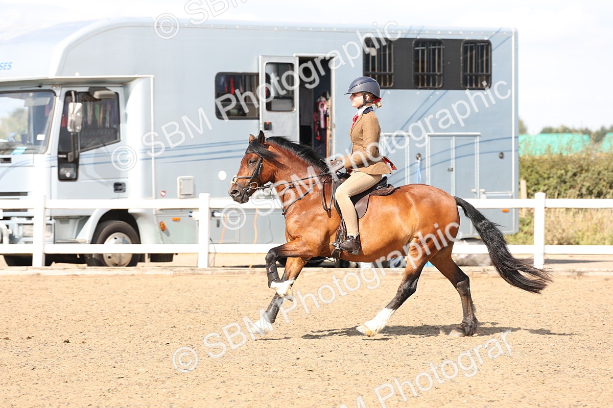 SBM_07352 - Class 58b -  Style & Performance - 70cm (20+)