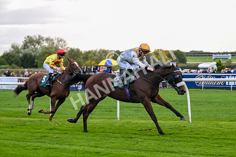 171026-Race 3-Hengest-5303 - Race 3 2.10pm Download The Raceday Ready App Handicap