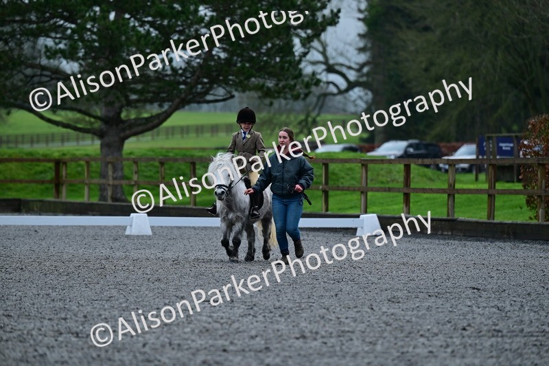 20260125-0801 - Class 9a - Walk Trot Assisted