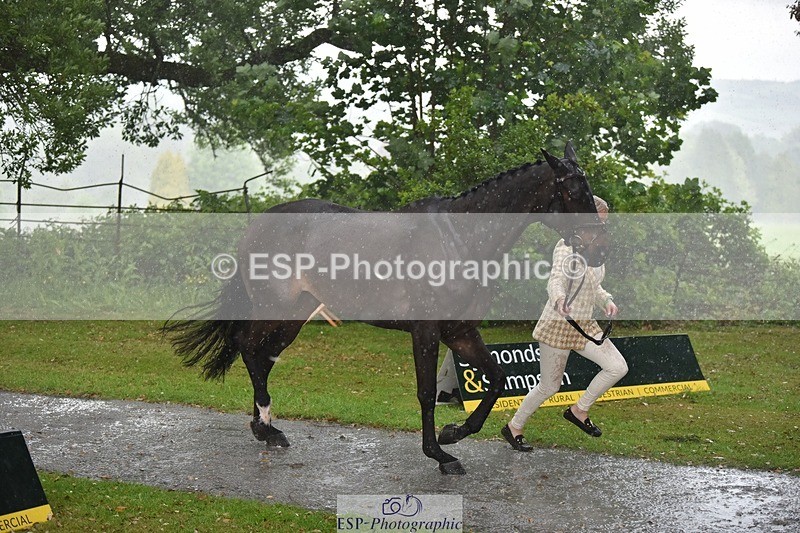 240522-151624-00218 - 366-GYPSIE_DU_LOIR-Yasmin_Ingham