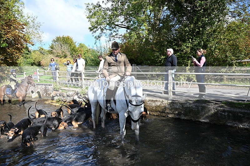 WJ7_5999 - Hounds Water Crossing