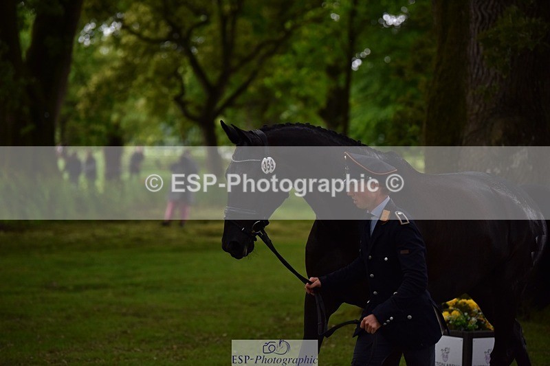 240522-152830-00363 - 359-PROMISING_PETE_TSF-Felix_Etzel