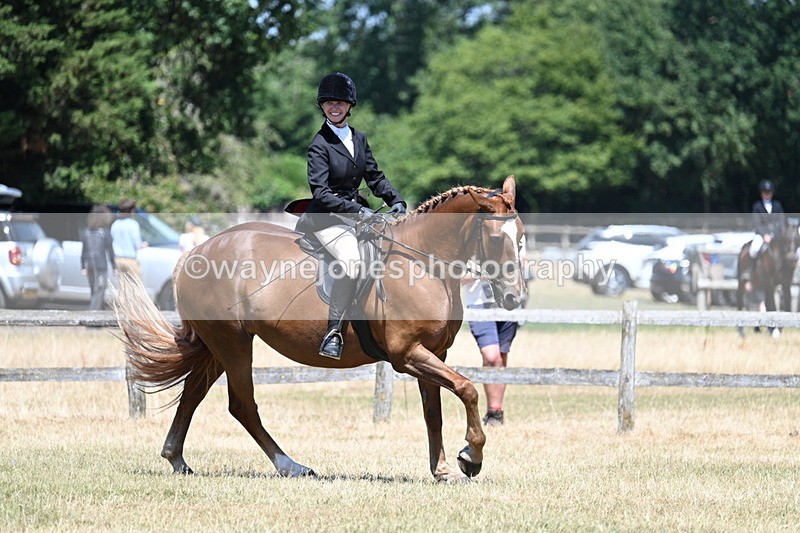 WJ7_3021 - Class 7 Riding Club Show Horse