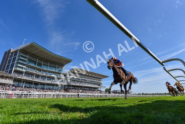 140525-Race 4-Whirl-2 - Race 4 3.45pm Tattersalls Musidora Stakes