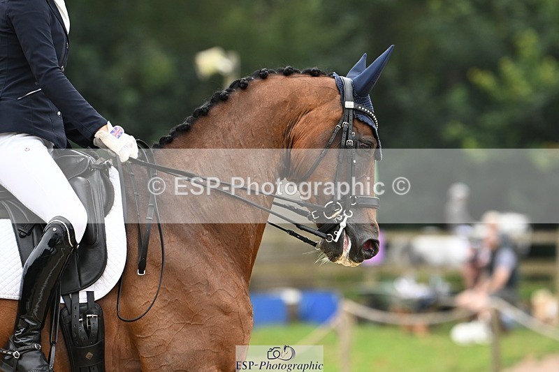 240811-115243-05633 - 305-Emily.Coller-Iondale