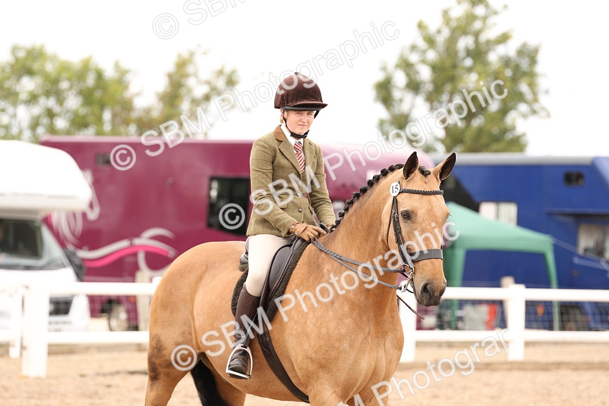 SBM_17262 - Class 213 - Ridden Hunter - Large