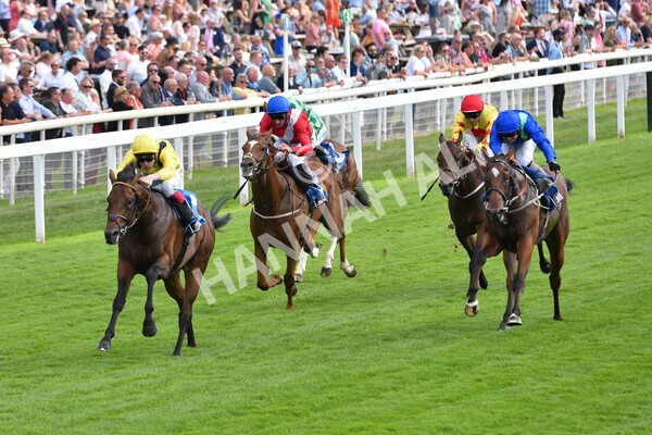 yr08072022r4-24 - Race 4 3.50pm William Hill Pick Your Places Stakes