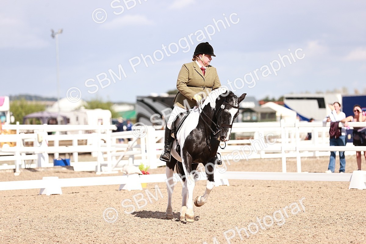 SBM_06609 - Class 39 - Medium 3