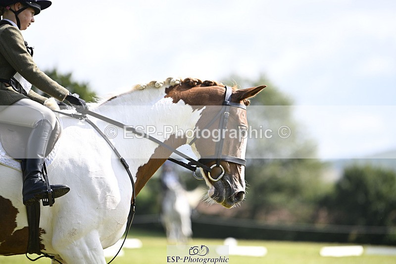 240824X-112304-25846 - D80 Section E and F 11.00 to 12.00