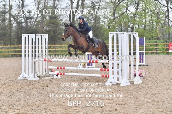 BPP_2716 - CLASS 4 Senior British Novice/ 90cm Open