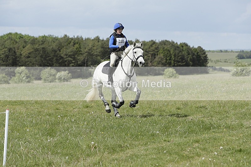 BVHT 140517  NXC -509 - Class 2 XC Novice 14/05/17