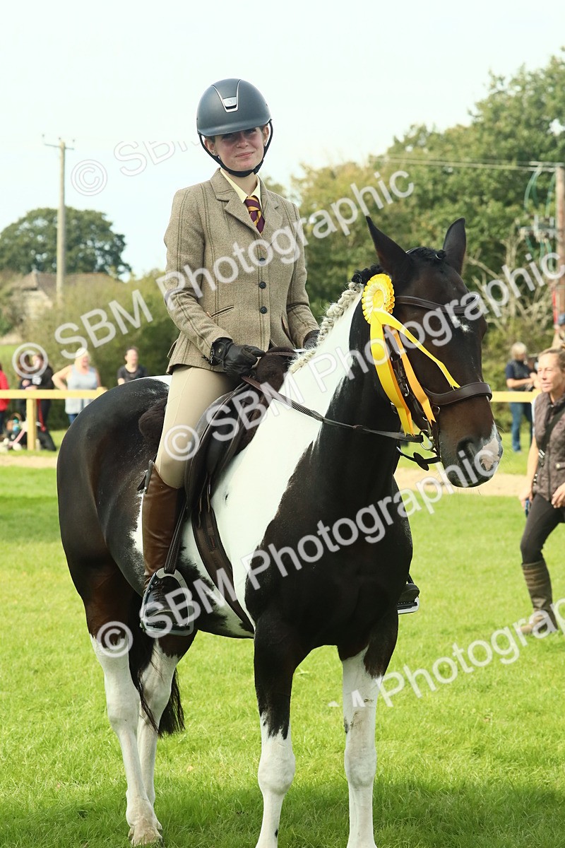 SBM_66800 - S34 - Rehabilitated Rescue Horse & Pony In Hand & Ridden