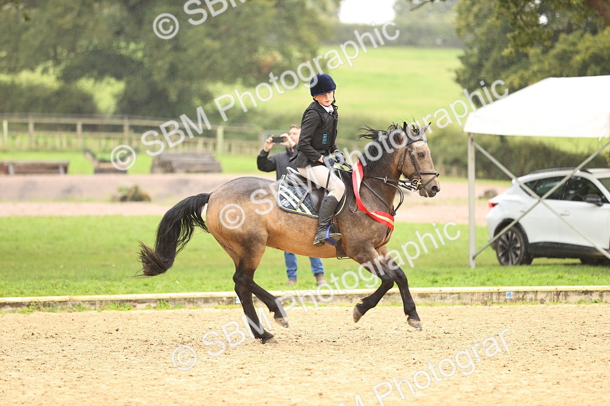 SBM_70112 - Supreme Championship 80cm 85cm