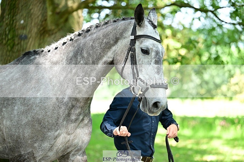 260527A-145447-00672 - C-312-Finn.Healy