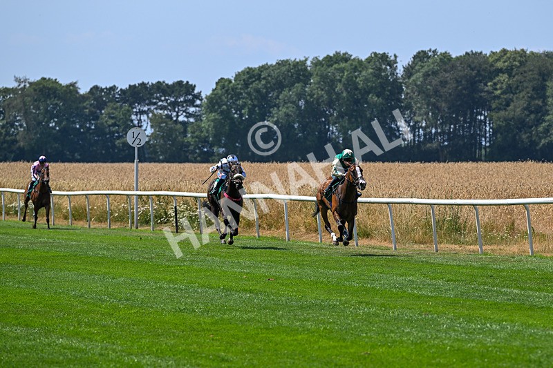 160726-Race 1-Clementines Star-3847 - Race 1 13.53pm Best Ticket Deals Online @thirskraces Book Now Restricted Maiden Fillies' Stakes