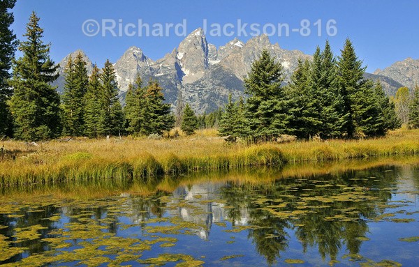 Teton Majesty - Grand Teton National Park