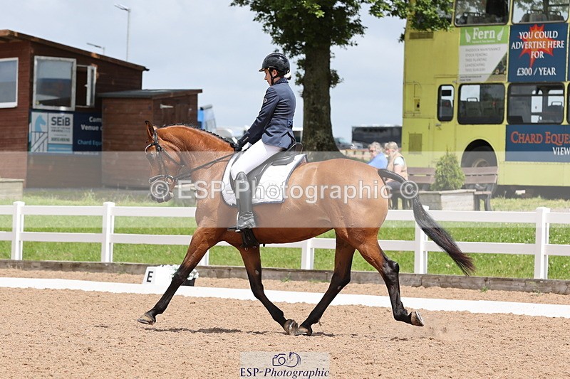 240622A-133235-11775 - Cls 29 BD Elementary 45