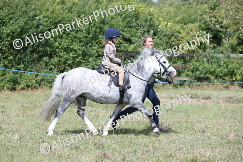 20250831-2777 - Class 17 - Lead Rein Pony