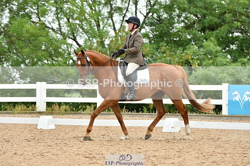 230630A-124008-01901 - Cls 7 Elementary 45