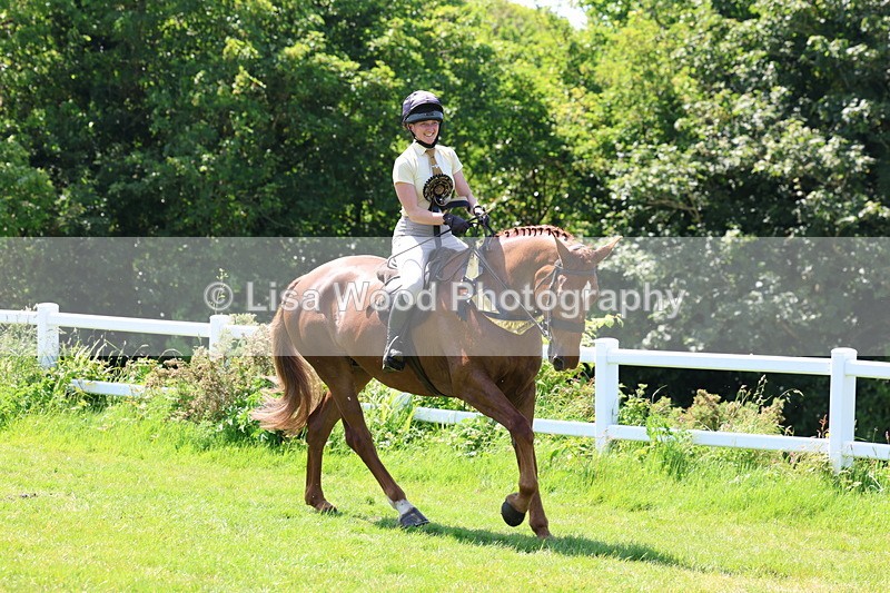 3E7A8140 - Working Hunter Championship