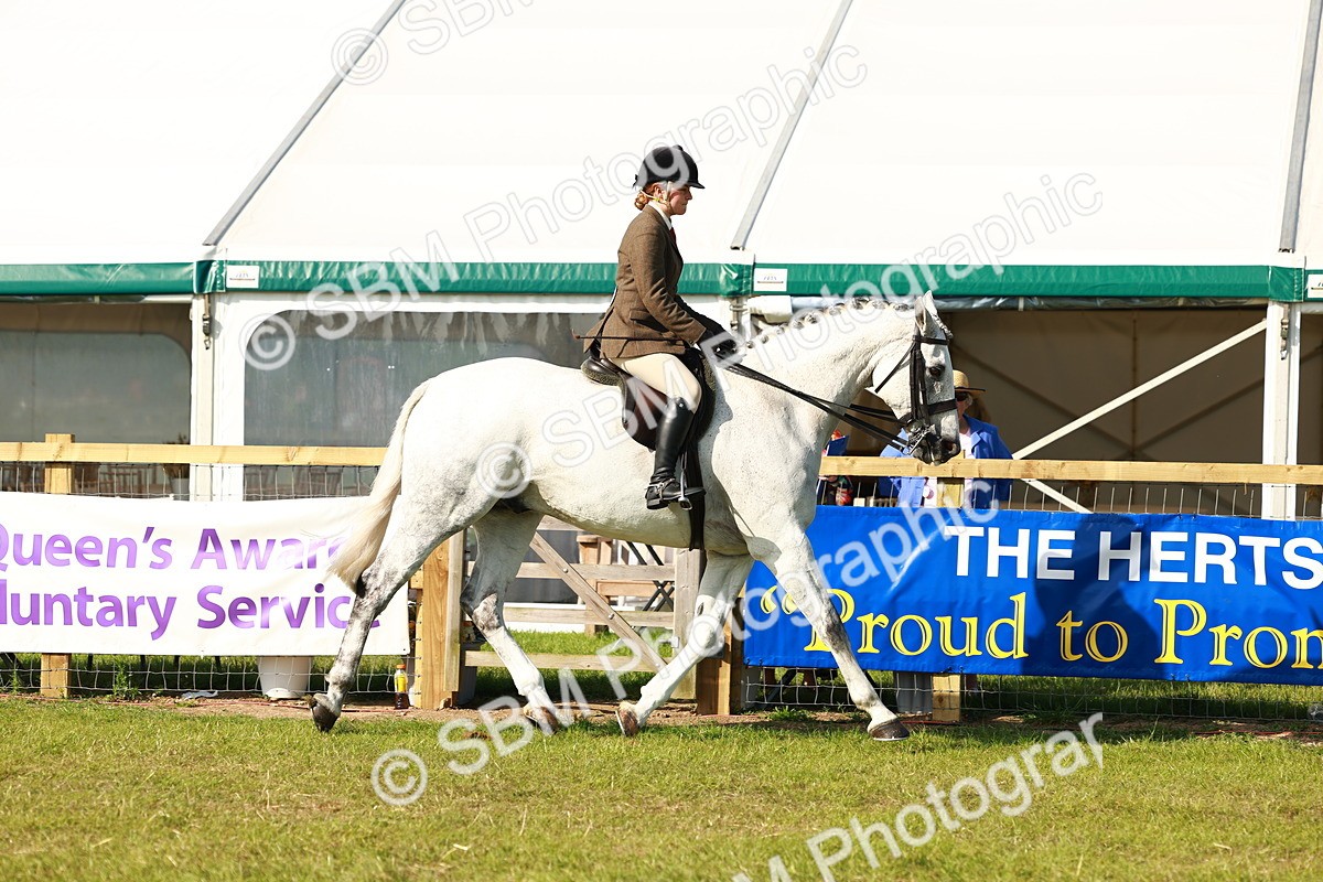 SBM_10876 - Class 66-69 - RIHS Ridden Hunters Inc Small Hunter