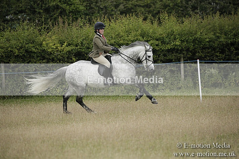 B230619-0139 - Bourne Valley Riding Club Summer Show 23/06/19