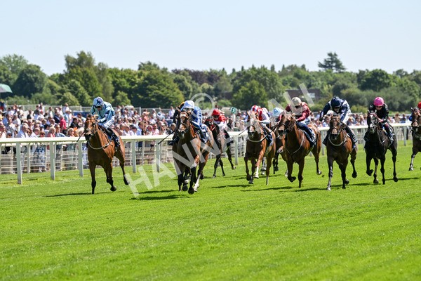 110725-Race 2-Sayidah Dariyan-4095 - Race 2 2.45pm William Hill Summer Stakes