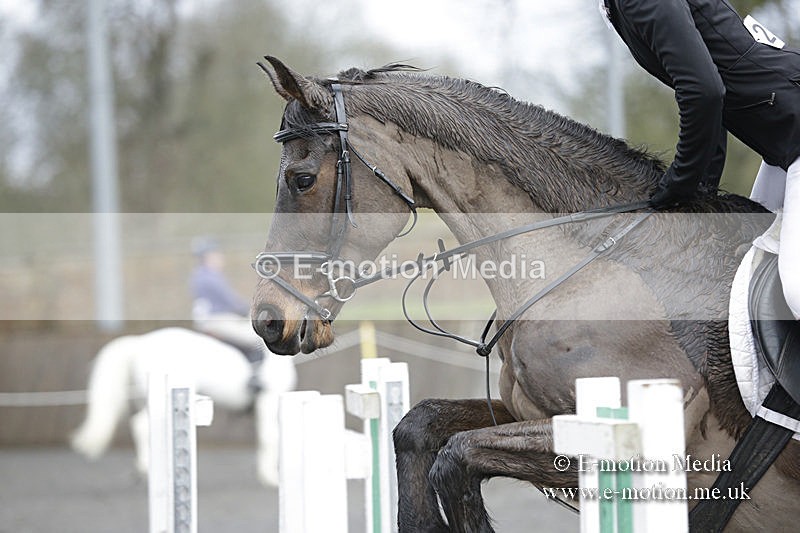 BVRC 050320 0287 - Bourne Valley riding Club Show Jumping Tidworth 08/03/20