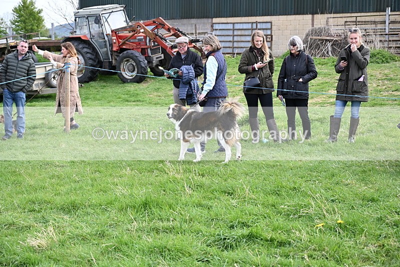 WJ6_8527 - Class 6 Best Rescue