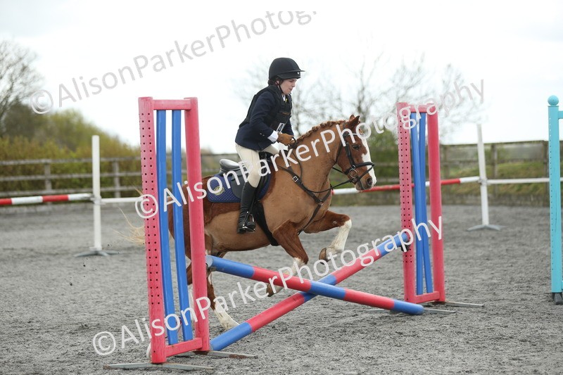 20260412-0607 - Show Jumping