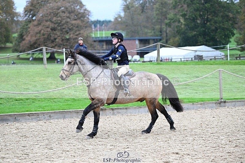 241116-103727-00584 - Cls 2 80-85cm Start to 11.30