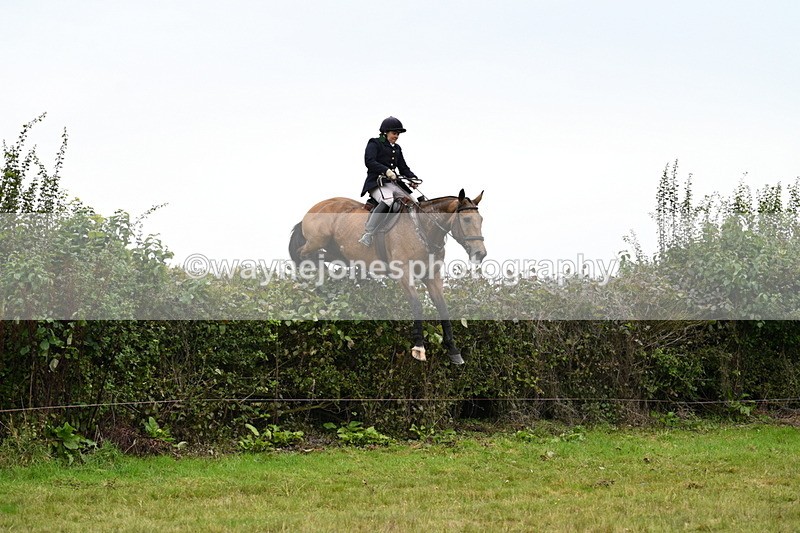 WJ7_4201 - Camera 1 Line 2