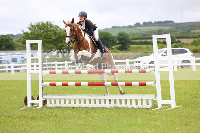 3E7A6694 - Class 10: Pony Newcomers/1m open