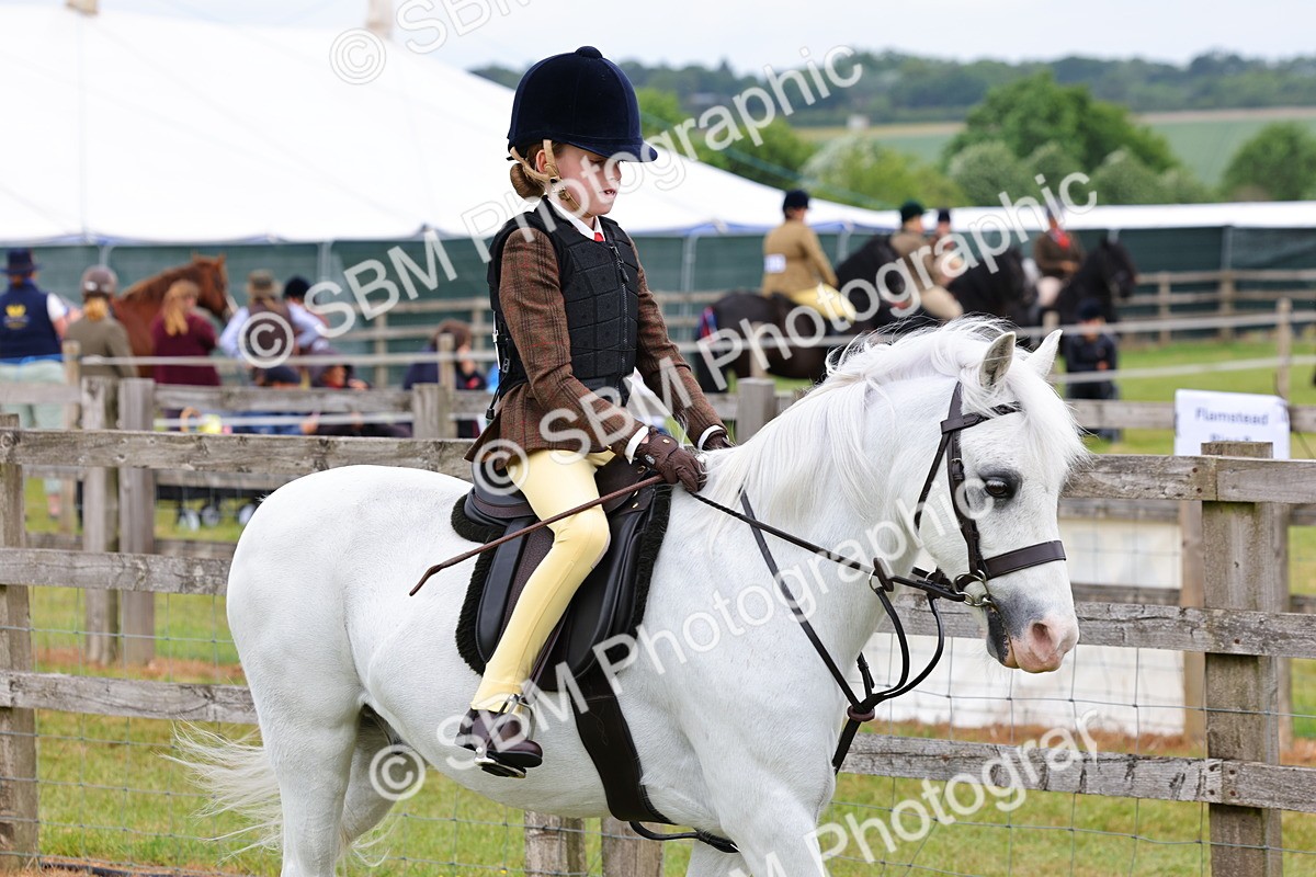 SBM_08454 - Class 42-43 - LIHS BSPS Heritage Working Sports Pony